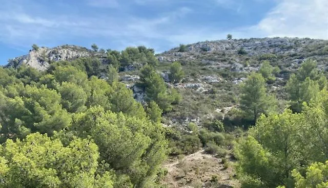 Grand Appartement T2, Lumineux, Au Calme, Au Pied Des Calanques, Proche Mer Marseilles Apartment